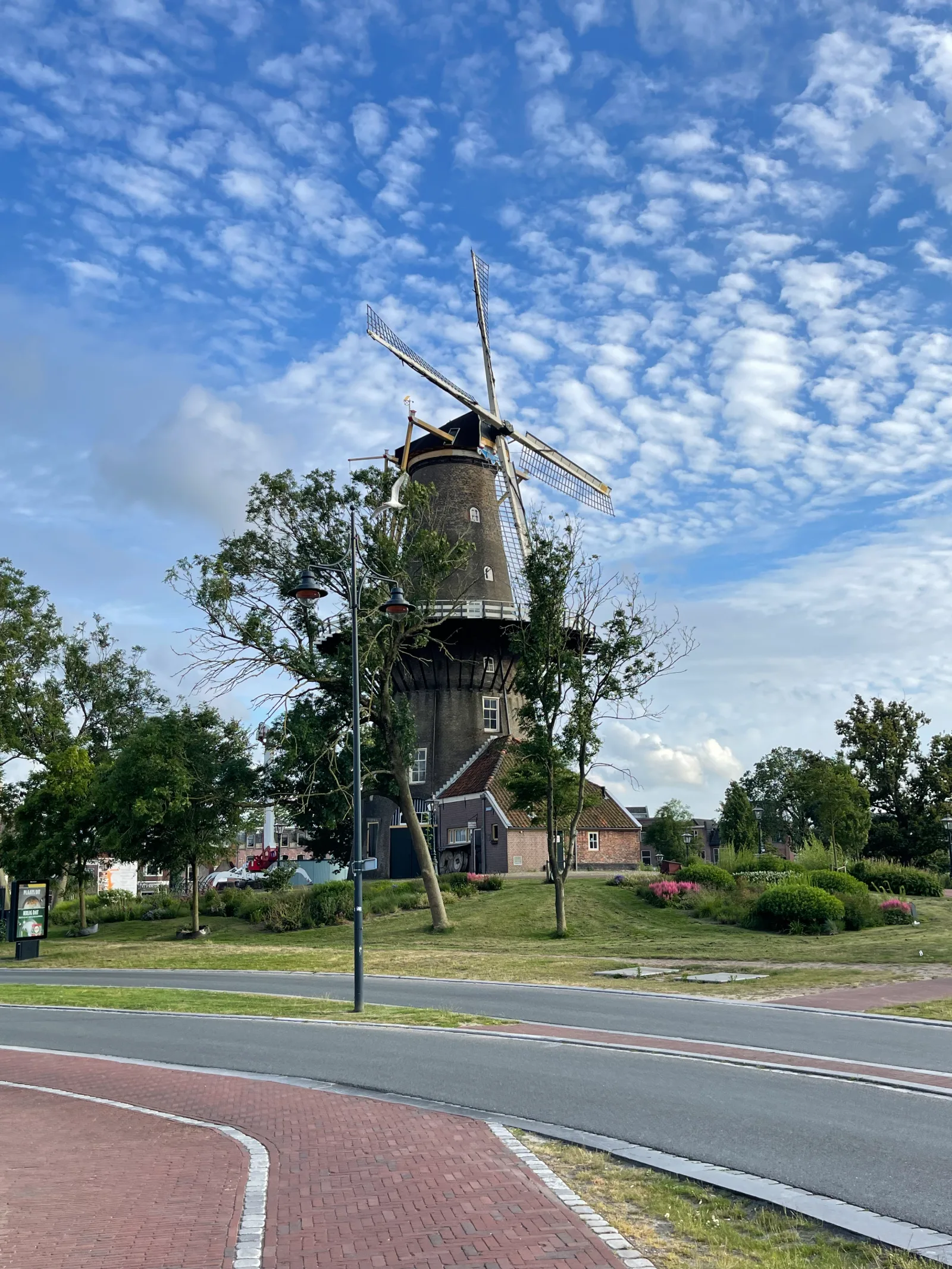 Speech Prosody 2024 at Leiden (10/13)