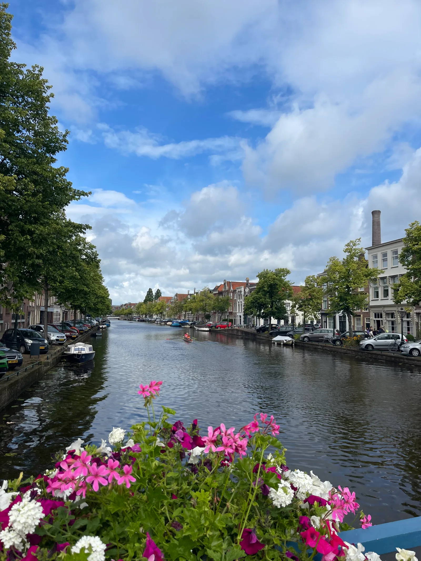 Speech Prosody 2024 at Leiden (3/13)