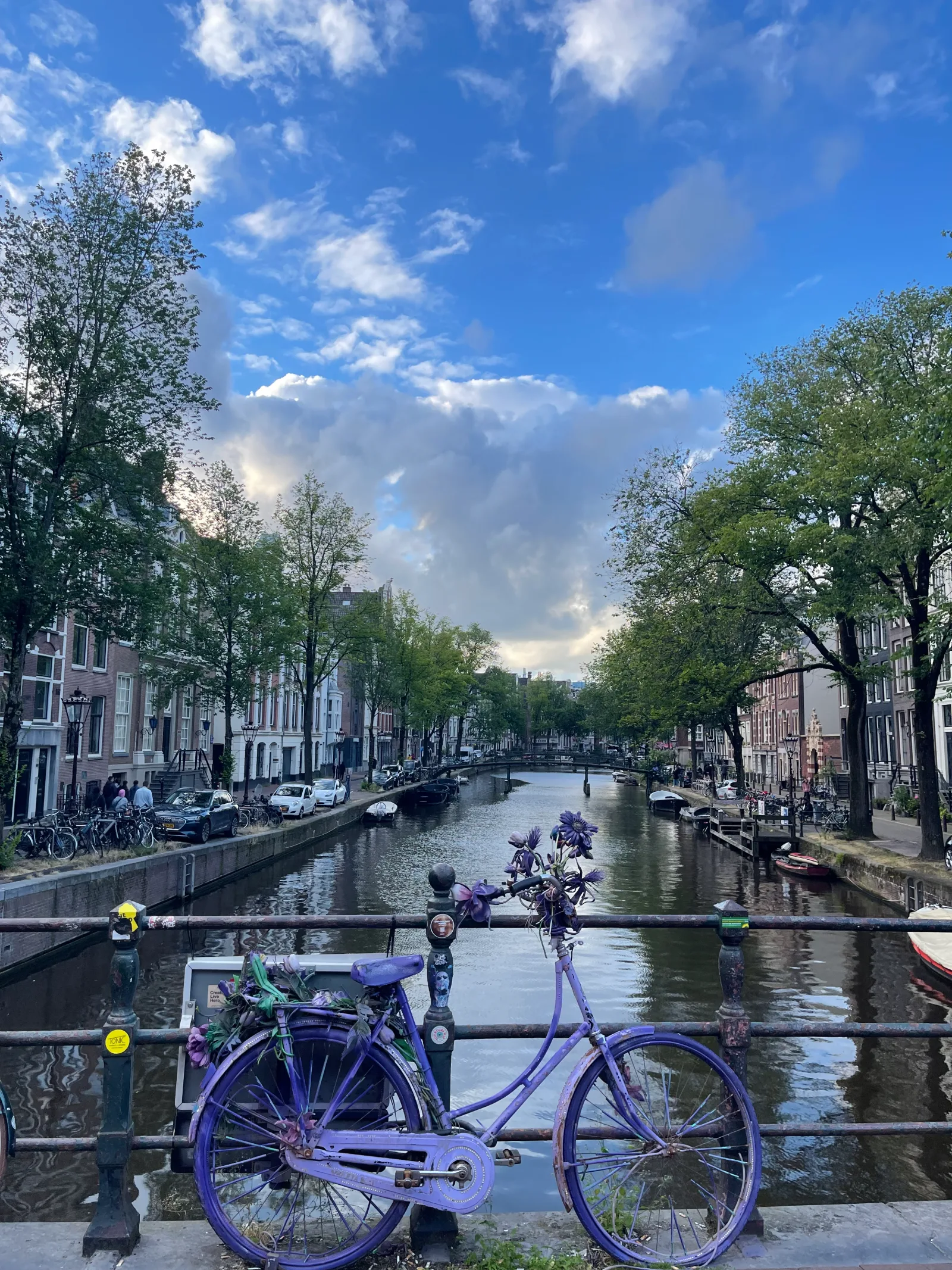 Speech Prosody 2024 at Leiden (5/13)
